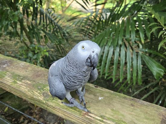 新竹國賓大飯店優惠