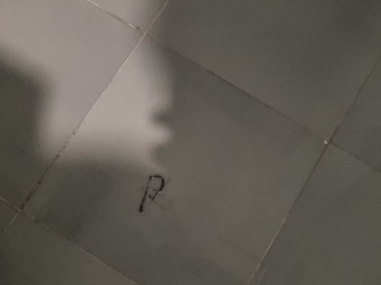 Lazybee懶蜂窩國際青年旅舍（瀋陽彩塔夜市店）優惠