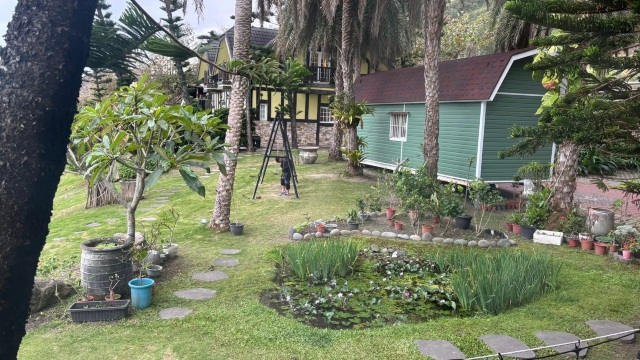 review picture