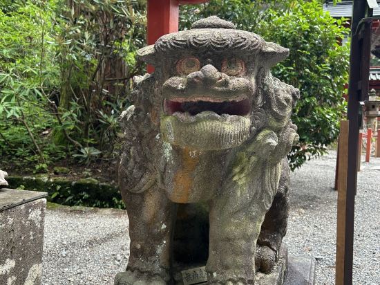 あさやホテル クーポン