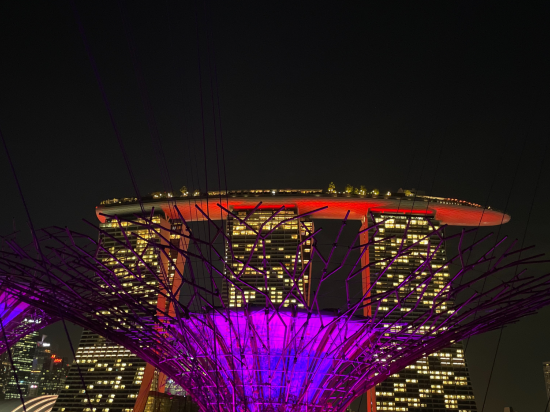 新加坡濱海灣金沙大酒店 （Staycation Approved）優惠