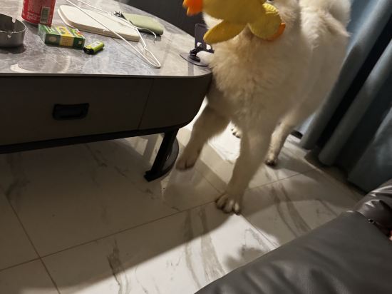 珠海拱北口岸香江維克酒店優惠