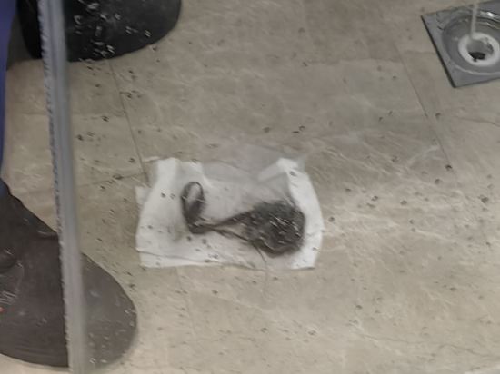 澳門富華飯店優惠