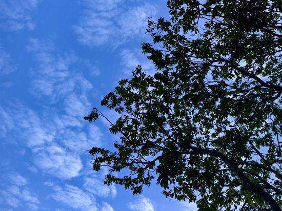 青島即墨古城君瀾度假飯店優惠