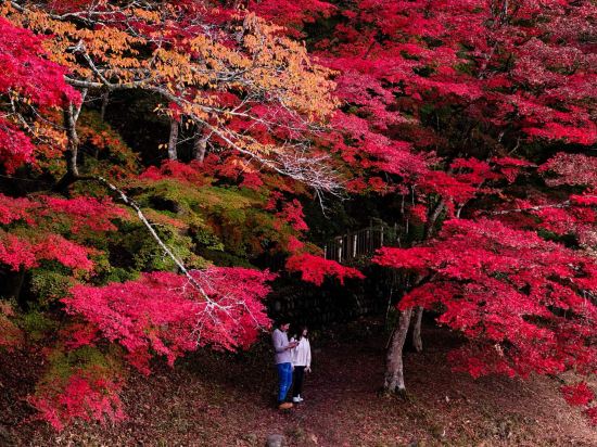 秘湯にごり湯の宿　渓雲閣 クーポン
