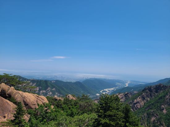 호텔 해든 쿠폰