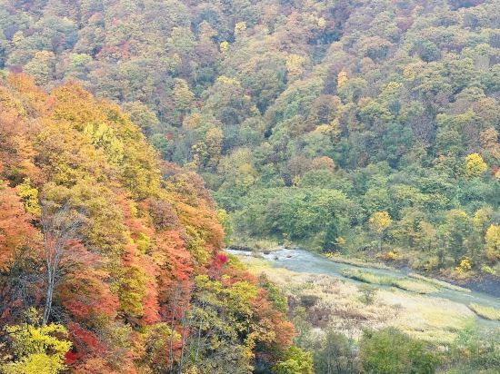 東橫Inn 新青森站東口優惠