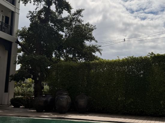 布里斯裡精品飯店優惠