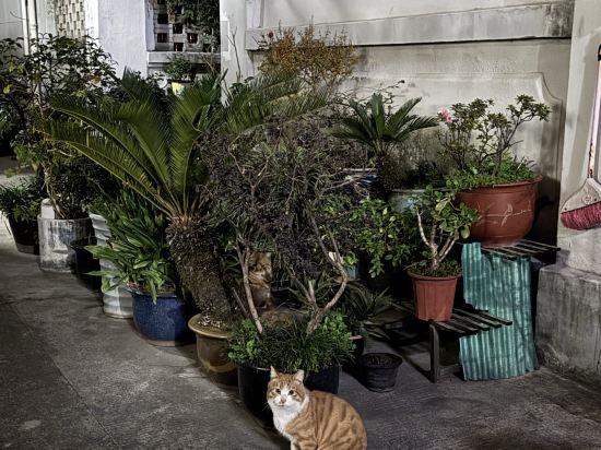 歸宿民宿（南京西路店）優惠
