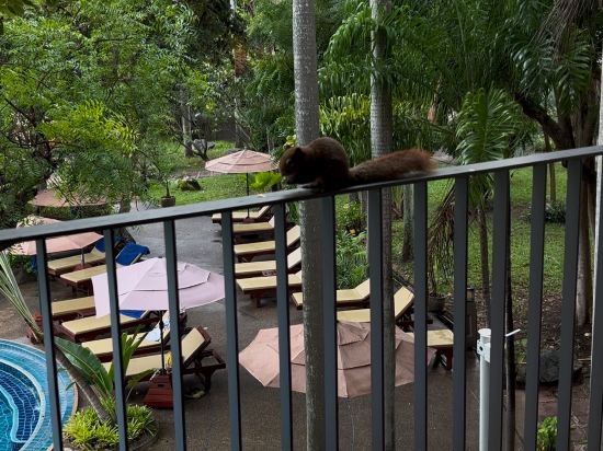 綠色公園度假村優惠