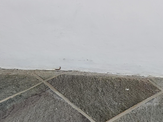 諾偉司吉里度假酒店及水療中心優惠