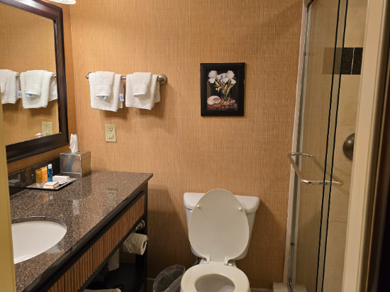 匹茲堡温德姆大酒店優惠