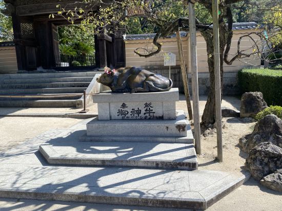 ホテルマイステイズ福岡天神南 クーポン