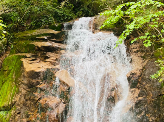 布耶那彼斯特飯店優惠