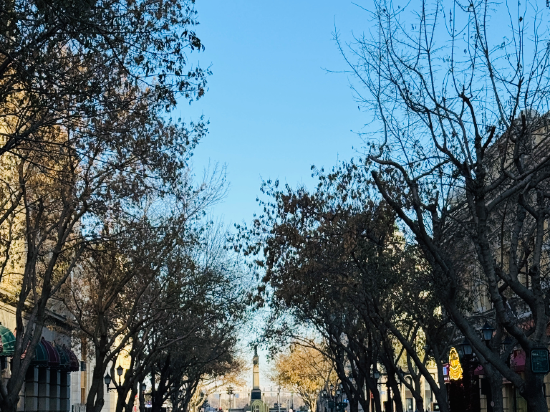 黑龍江金谷大廈（中央大街店）優惠