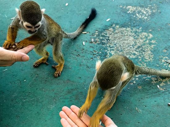 南京紫清湖温泉度假酒店優惠