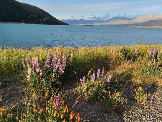 特卡波湖汽車旅館和假日公園優惠