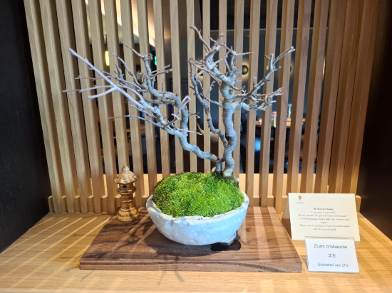 ギャリア・二条城 京都 クーポン