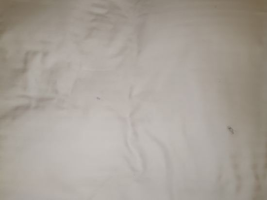 甲府ワシントンホテルプラザ クーポン