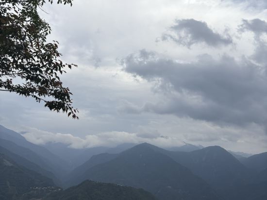 南投清境老英格蘭莊園優惠