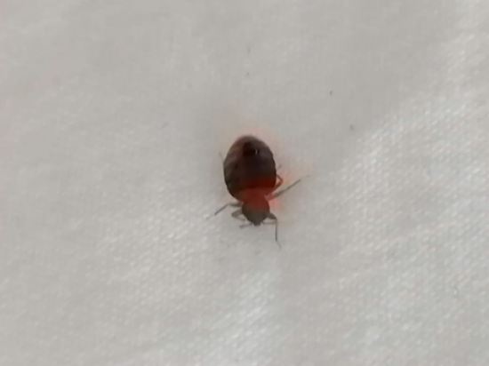 皇后中央飯店優惠