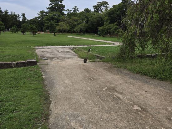 松江站前東橫 INN優惠
