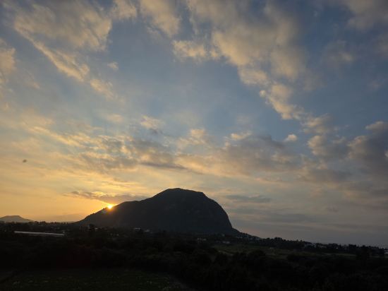 산방산 호텔 쿠폰