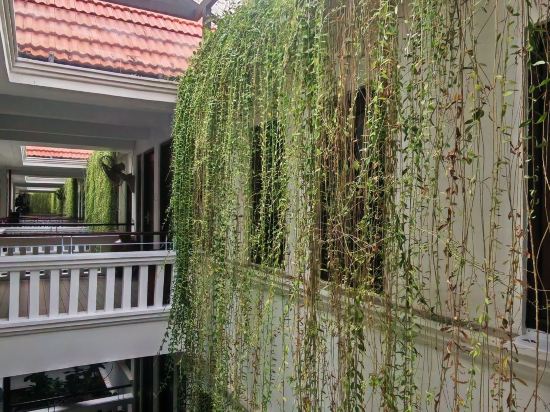 檳城檳榔酒店 （檳城對抗新冠肺炎認證）優惠