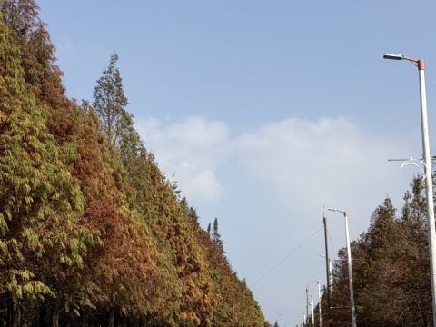 麗寶賽車主題旅店優惠