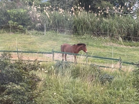 ユインチホテル南城 クーポン