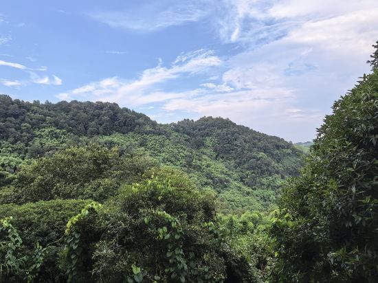 邛崍竹上花楸民宿優惠