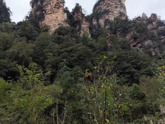 希岸酒店（濟南西客站店）優惠