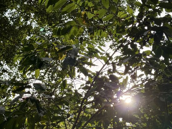 城市便捷酒店（佛山嶺南天地祖廟東方廣場店）優惠