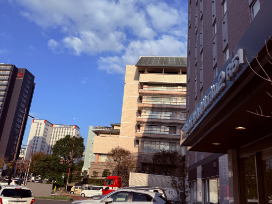 中央飯店-成田2 R51優惠