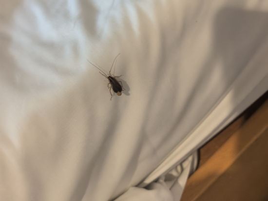 香港帝國酒店優惠