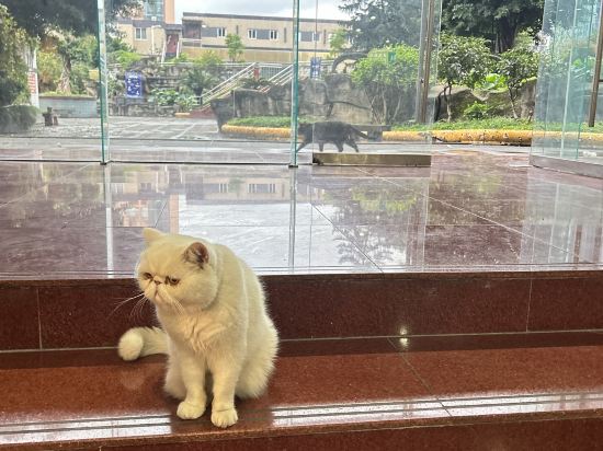 重慶吃山文化青年旅店優惠