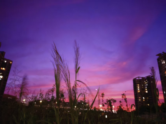 深圳寶安希爾頓惠庭酒店優惠