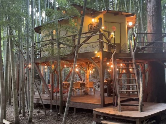 ザ・バンブーフォレスト クーポン