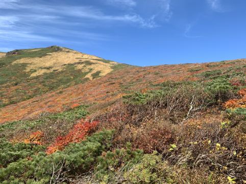 ハイルザーム栗駒 クーポン