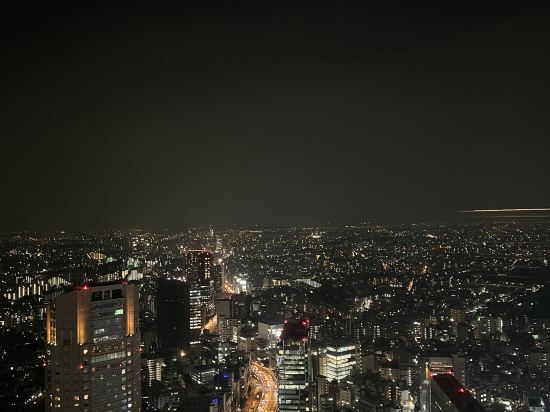 東京環球飯店優惠