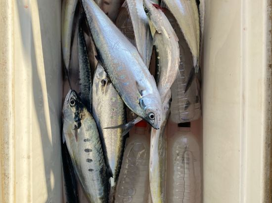 澎湖豐家大飯店優惠