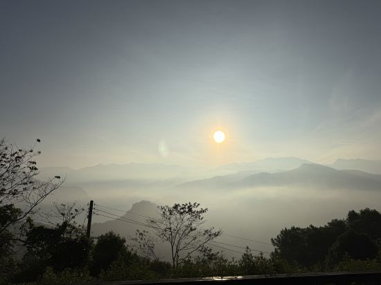 阿里山梅園樓觀景飯店優惠