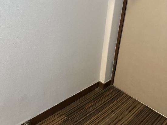 ホテルエース盛岡 クーポン