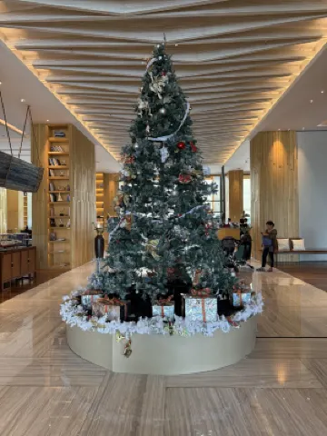 Batam Marriott Hotel Harbour Bay Public Areas Photos