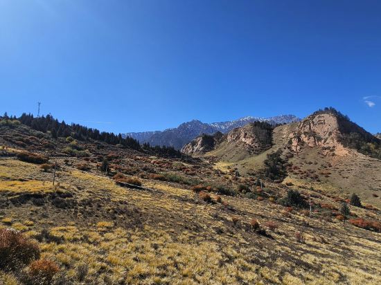 宜必思飯店（張掖市政府店）優惠