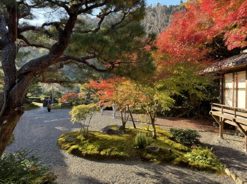 翠嵐 ラグジュアリーコレクションホテル 京都 クーポン