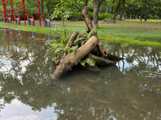 福容大飯店（台北一館）優惠