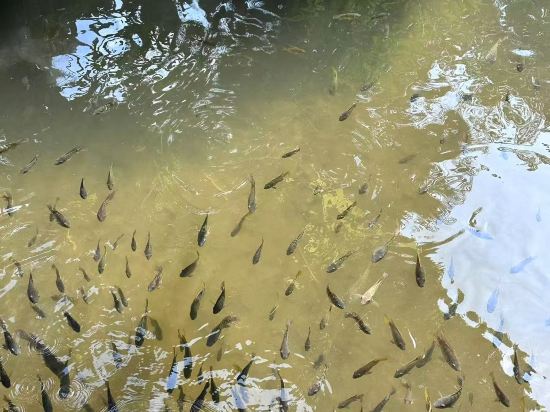 東莞隱賢山莊酒店優惠