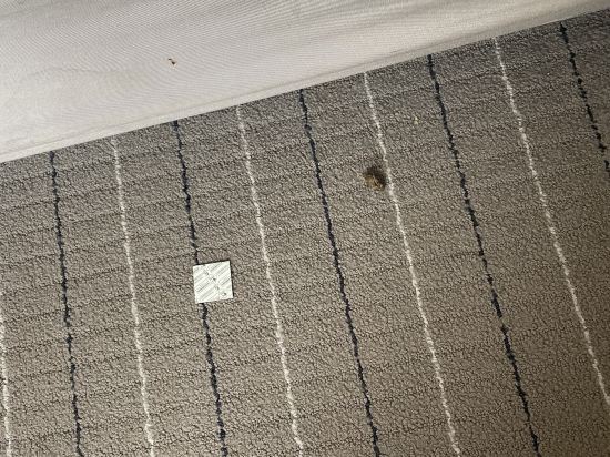 諾富特曼谷隆齊素坤逸酒店 （SHA Extra Plus）優惠