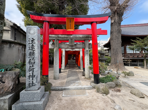 JR九州花博中心酒店優惠